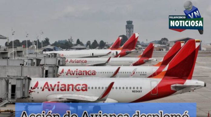 Avianca se desploma en un 77% .