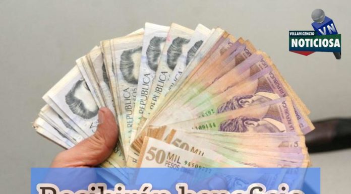 Si le suspendieron el contrato, podría recibir el famoso giro de Ingreso Solidario.