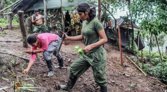 Abandonaron el área