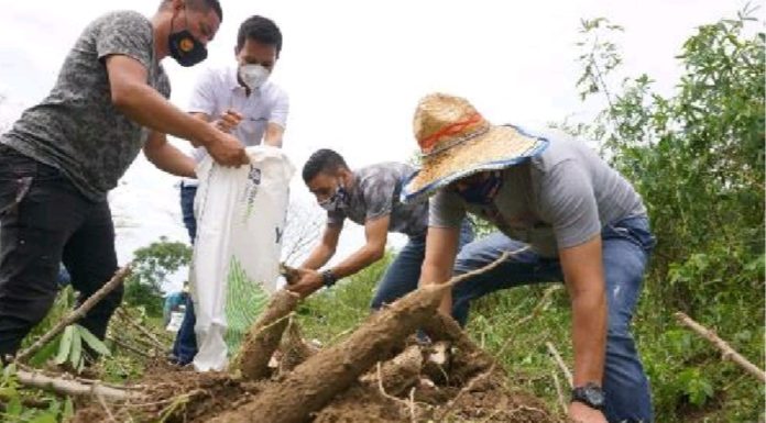 PRODUCTORESDONANUNA TONELADAY MEDIA DE YUCA PARA ALIMENTAR A MILES DE FAMILIASVULNERABLESDE VILLAVICENCIO