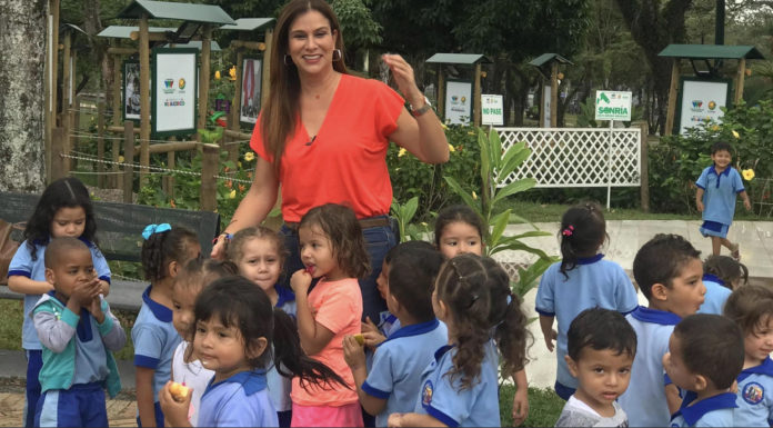 Por ley se crearía un ‘fast track’ judicial para delitos contra menores