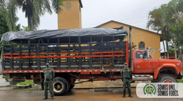 *INCAUTACIÓN DE SEMOVIENTES*