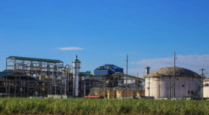 Llamado de atención ante el ‘desprecio’ por Bioenergy