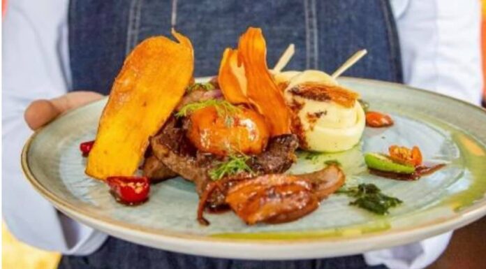 EL FESTIVAL LLANERO 2020 LE DA LA VUELTA AL MUNDO. SE HA VISTO EN CANADÁ, ARGENTINA, BRASIL Y ESTADOS UNIDOS, ENTRE OTROS PAÍSES