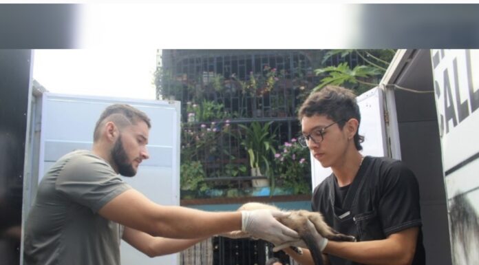 MÁS 60.000 CANINOS Y FELINOS HAN VACUNADO CONTRA LA RABIA Y 600 SE HAN ESTERILIZADO