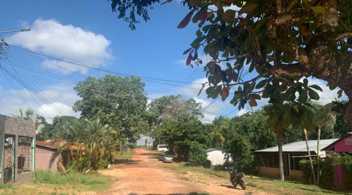 Familia despojada por paramilitares recupera más de 2.700 hectáreas en Mapiripán (Meta)