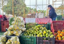 AVANZAN ACERCAMIENTOS PARA QUE PRODUCTORES RURALES SUMINISTREN ALIMENTOS A CONTRATISTA DEL PAE