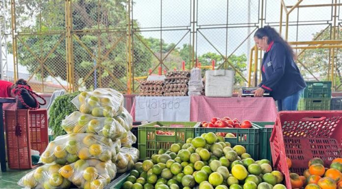 AVANZAN ACERCAMIENTOS PARA QUE PRODUCTORES RURALES SUMINISTREN ALIMENTOS A CONTRATISTA DEL PAE