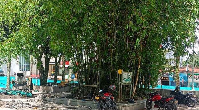 Modernizada e Iluminada, así quedará la plaza los Libertadores en Villavicencio