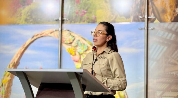 Meta le apuesta a la educación superior de los jóvenes