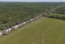 La vía al Barro abre paso al desarrollo rural en San Carlos de Guaroa