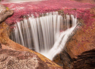 La Macarena da inicio a la temporada de Caño Cristales bajo el lema “Naturalmente Responsable”