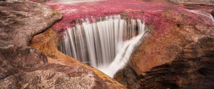 Untitled_design_12