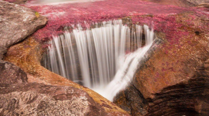 La Macarena da inicio a la temporada de Caño Cristales bajo el lema “Naturalmente Responsable”