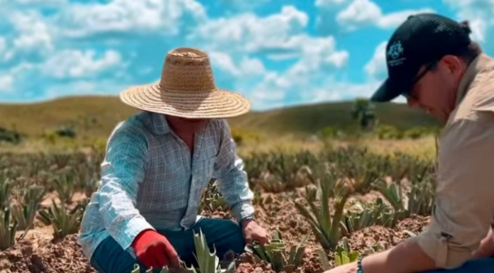 Gobernación del Meta fortalece el campo en nueve municipios y respalda a quienes garantizan la seguridad alimentaria de la región